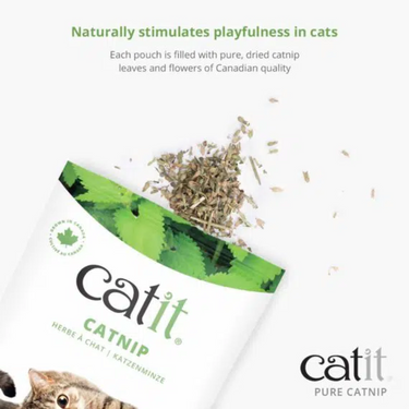 Catit Dried Catnip 56g